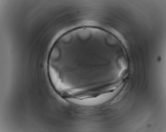 X0000100391334200807031940