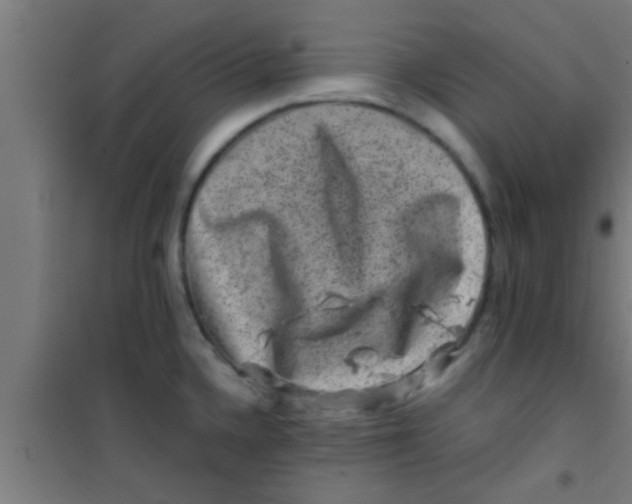 X0000100391336200807031940