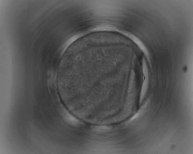 X0000100391337200807031940