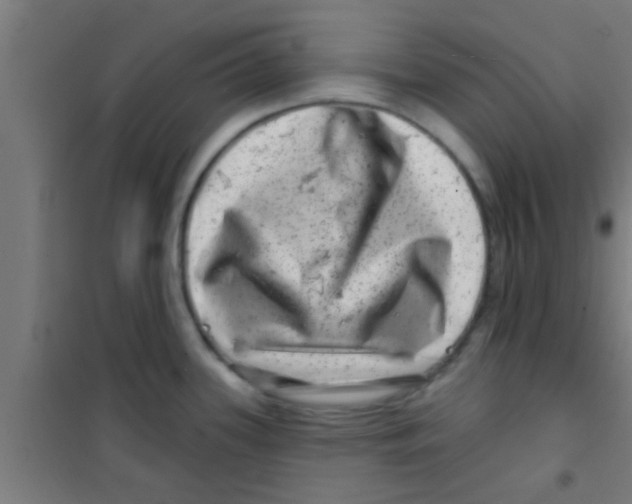 X0000100391339200807031940