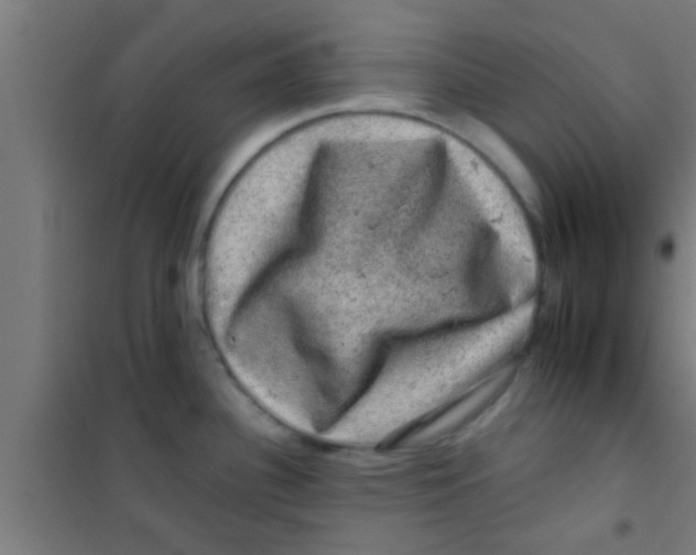 X0000100391340200807031940