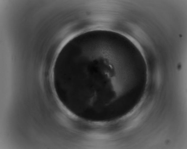 X0000100391341200807031940