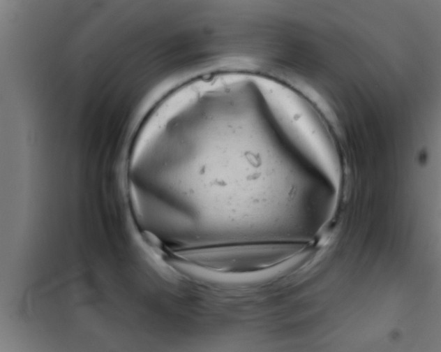 X0000100391342200807031940