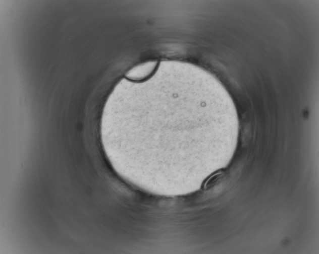 X0000100391345200807031940