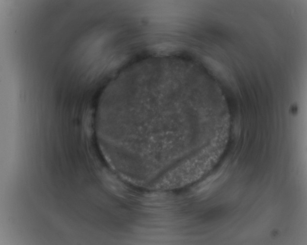 X0000100391346200807031940