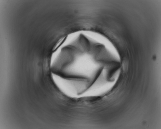 X0000100391347200807031940