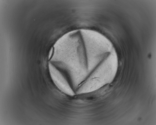 X0000100391348200807031939