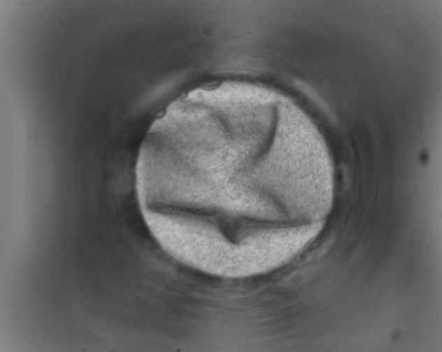 X0000100391350200807031939