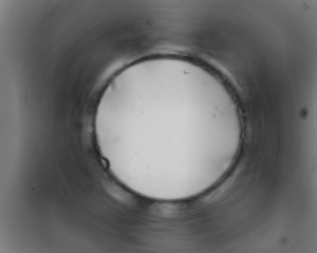 X0000100391355200807031939