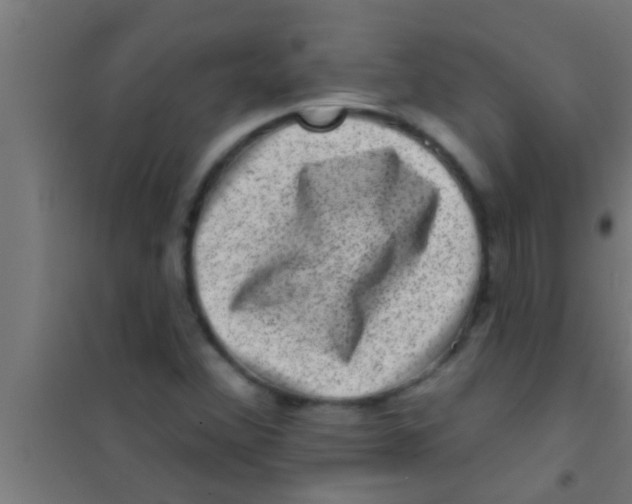 X0000100391356200807031939