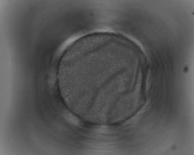 X0000100391359200807031939