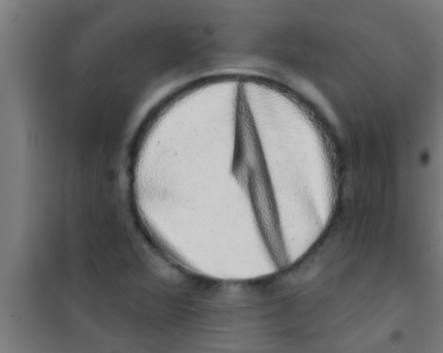 X0000100391360200807031939