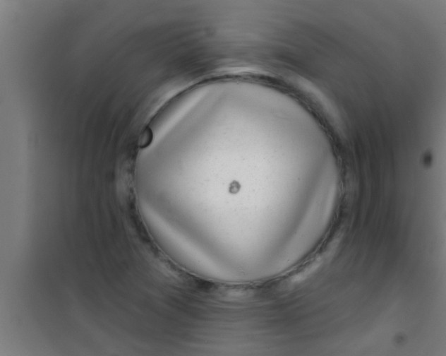 X0000100391361200807031939