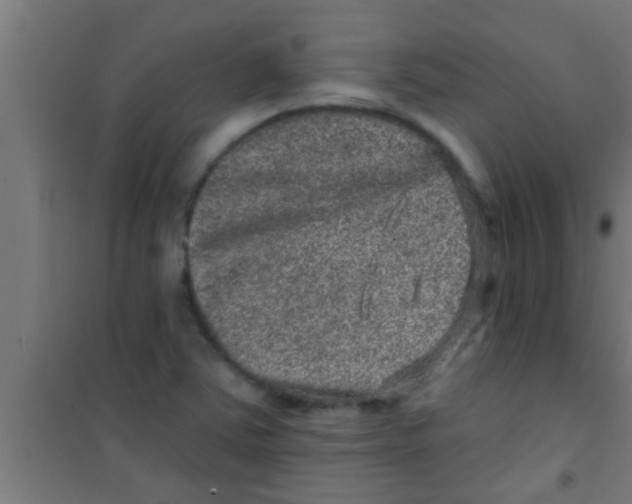 X0000100391363200807031939