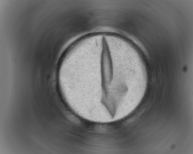 X0000100391364200807031939