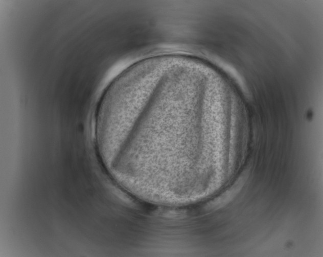 X0000100391365200807031939