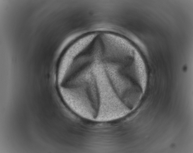 X0000100391368200807031939