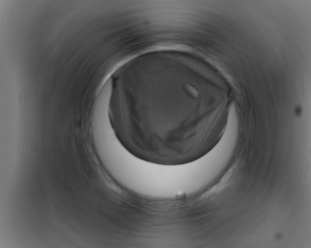 X0000100391369200807031939