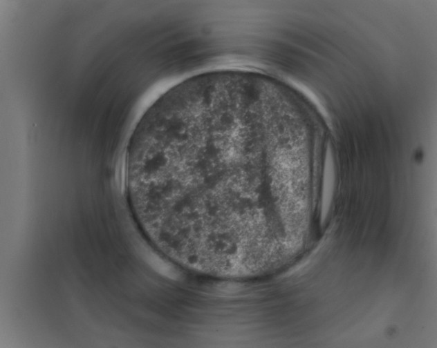 X0000100391371200807031939