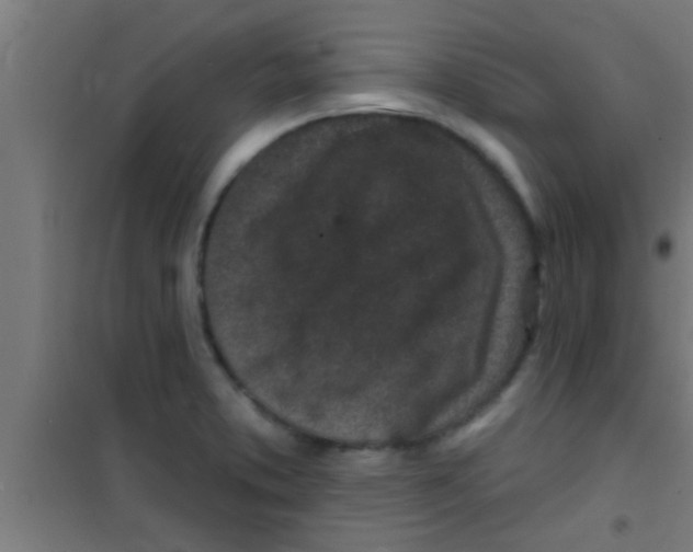 X0000100391373200807031939