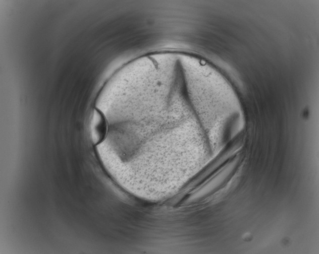 X0000100391374200807031939