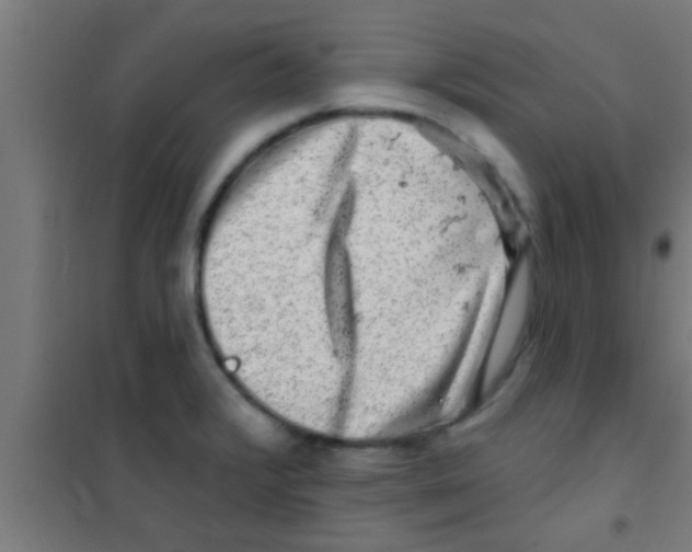 X0000100391376200807031939