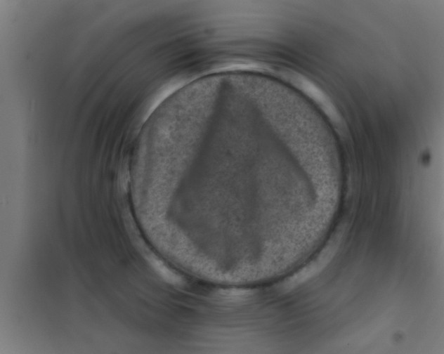 X0000100391377200807031939