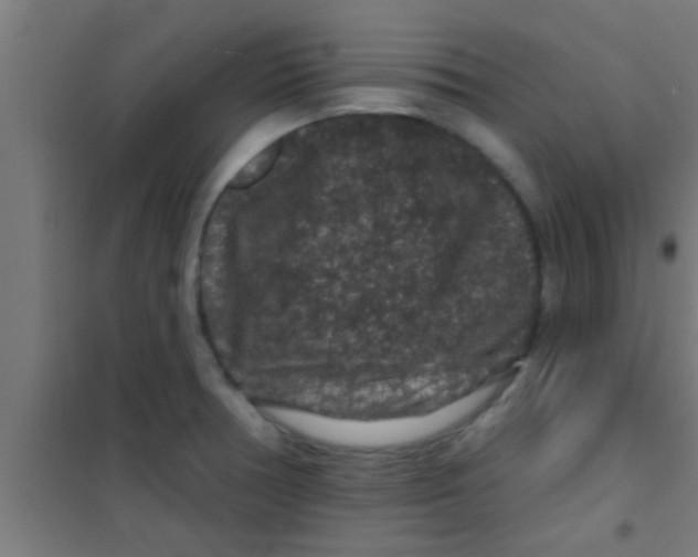 X0000100391378200807031939