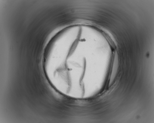 X0000100391379200807031939