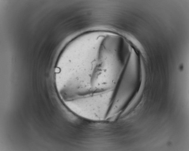 X0000100391380200807031939