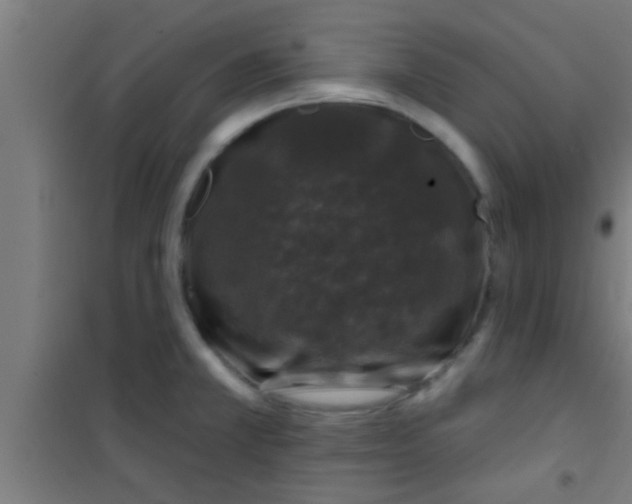 X0000100391381200807031939