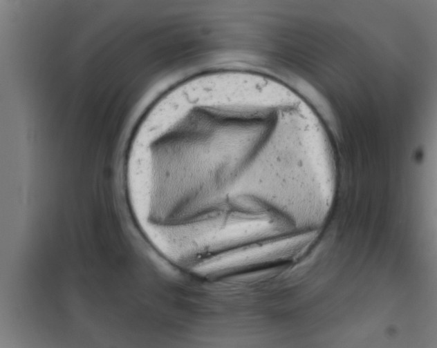 X0000100391384200807031939