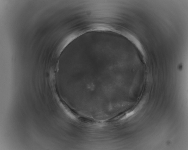 X0000100391385200807031939