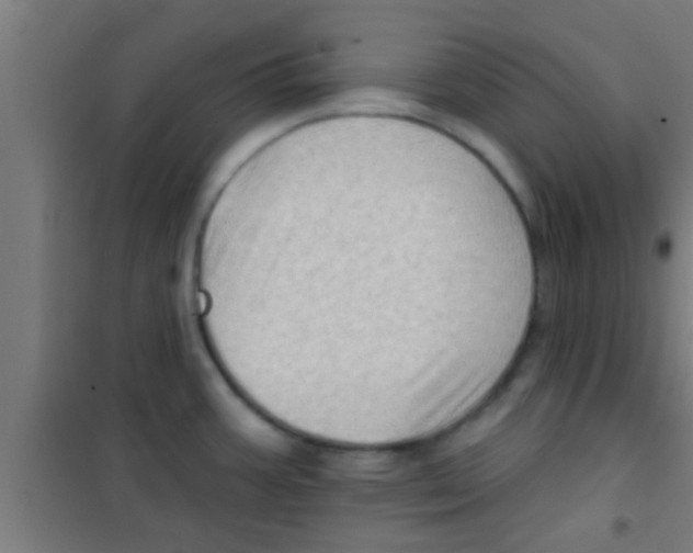 X0000100391387200807031939