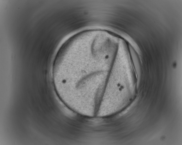 X0000100391388200807031939