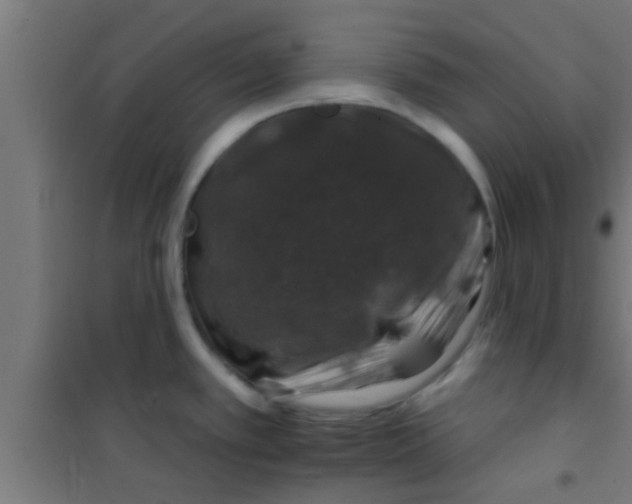 X0000100391389200807031939