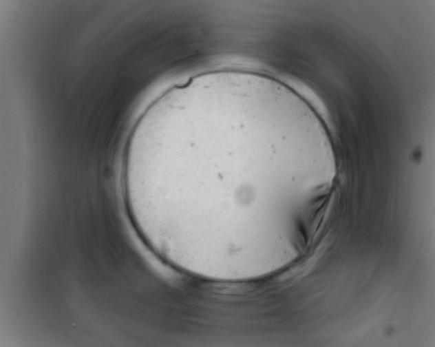 X0000100391391200807031939