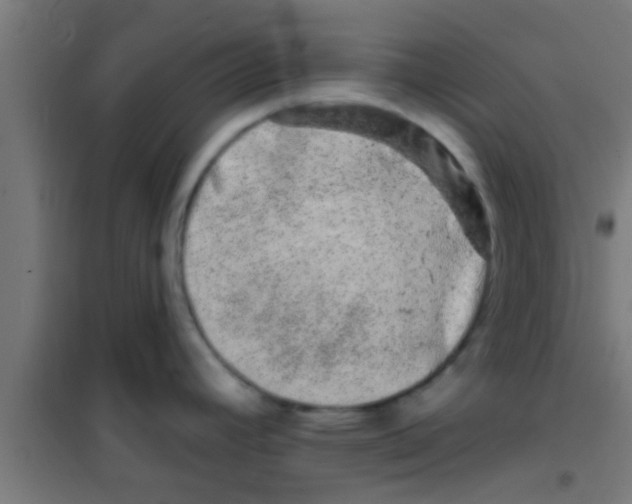 X0000100391392200807031939