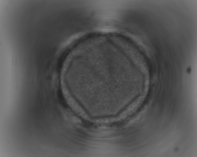 X0000100391398200807031938