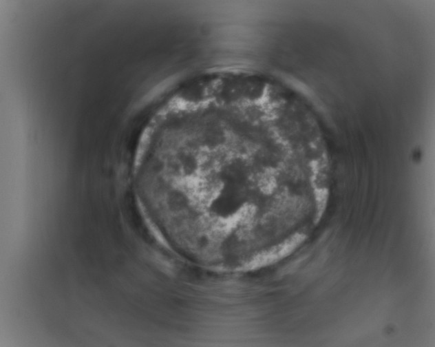 X0000100391399200807031938