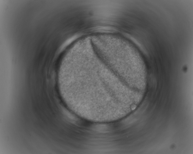 X0000100391402200807031938