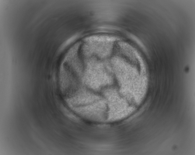 X0000100391403200807031938