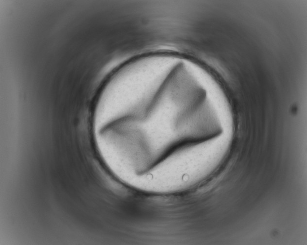 X0000100391404200807031938