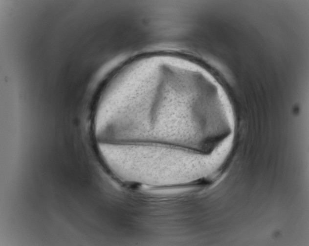 X0000100391406200807031938