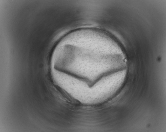 X0000100391407200807031938