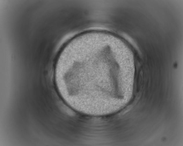 X0000100391408200807031938