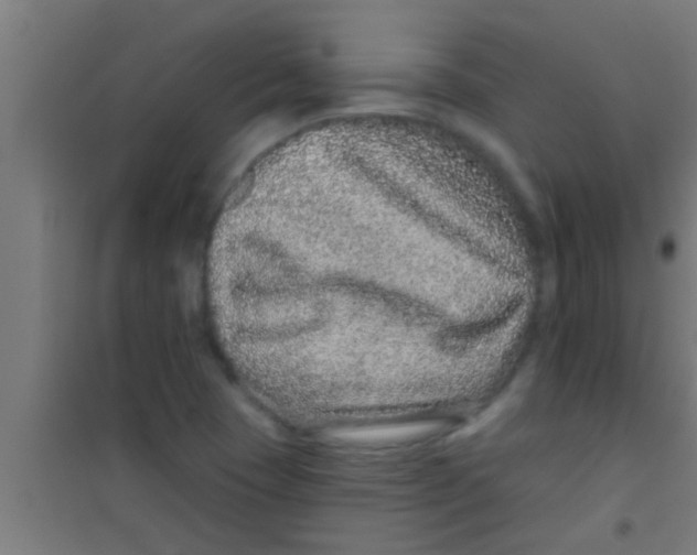 X0000100391409200807031938