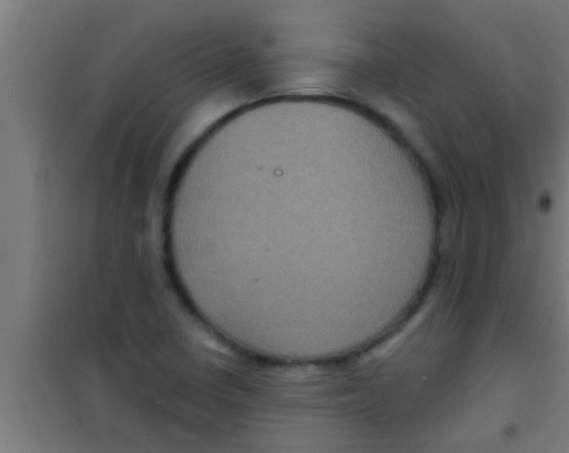 X0000100391410200807031938