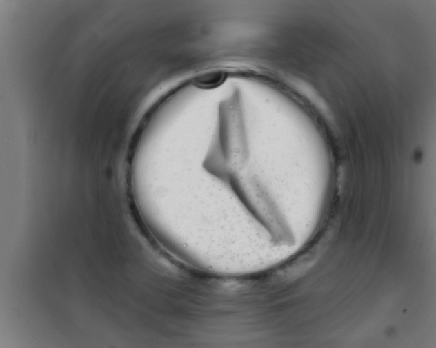 X0000100391412200807031938