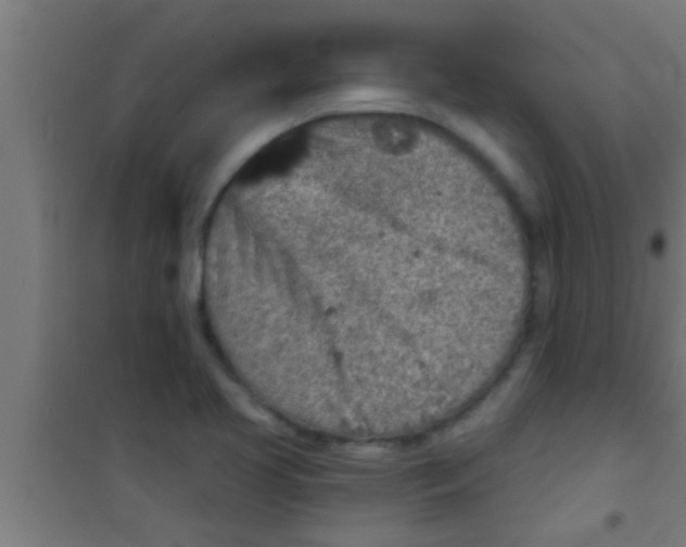 X0000100391413200807031938